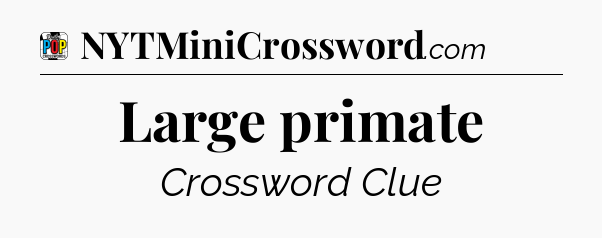 Large primate Crossword Clue