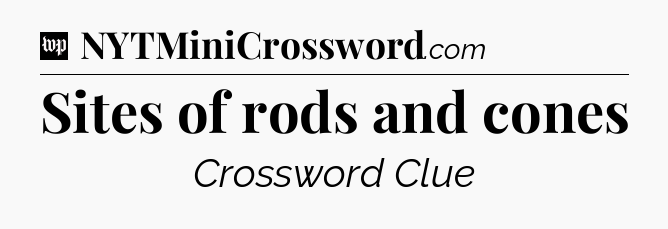 Sites of rods and cones Crossword Clue