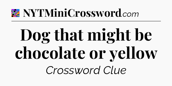 Dog that might be chocolate or yellow Crossword Clue