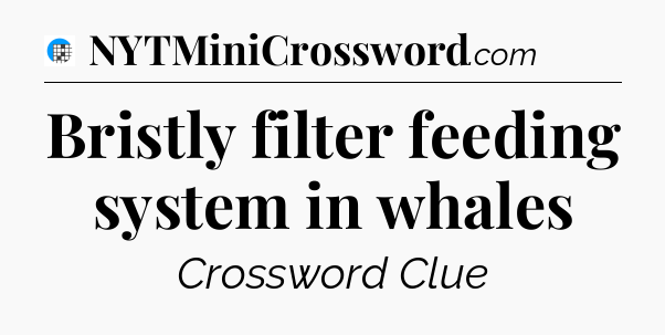Bristly filter feeding system in whales Crossword Clue