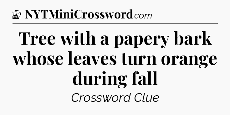 Tree with a papery bark whose leaves turn orange during fall - Daily Themed Classic Crossword