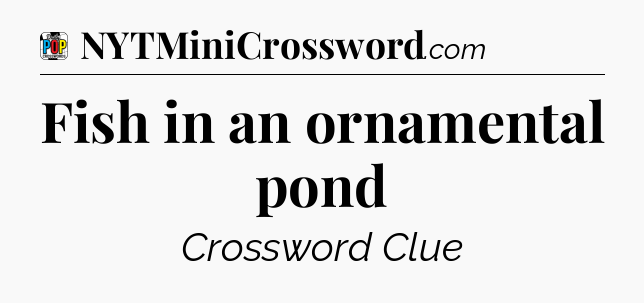 Fish in an ornamental pond Crossword Clue