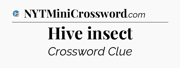 Hive insect Crossword Clue