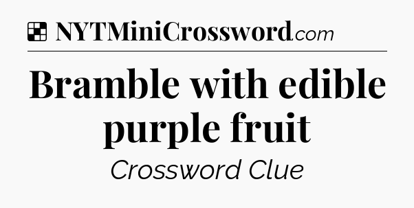 Solution: Bramble with edible purple fruit - NYT Crossword