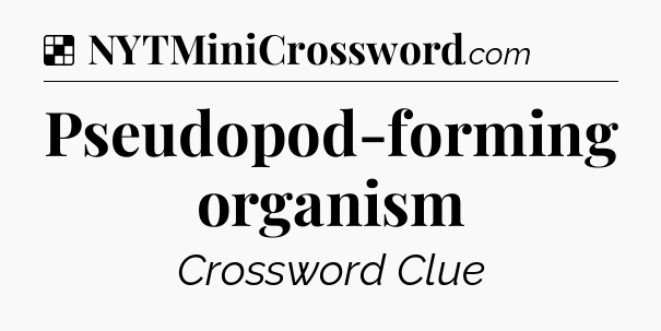 Solution: Pseudopod-forming organism - NYT Crossword