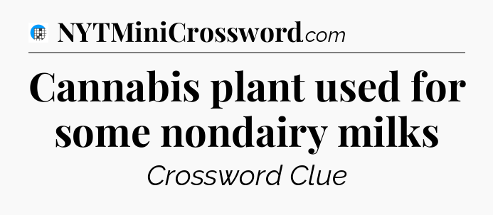 Cannabis plant used for some nondairy milks Crossword Clue