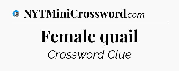 Female quail Crossword Clue