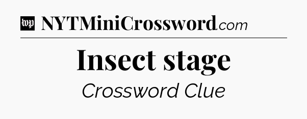 Insect stage Crossword Clue