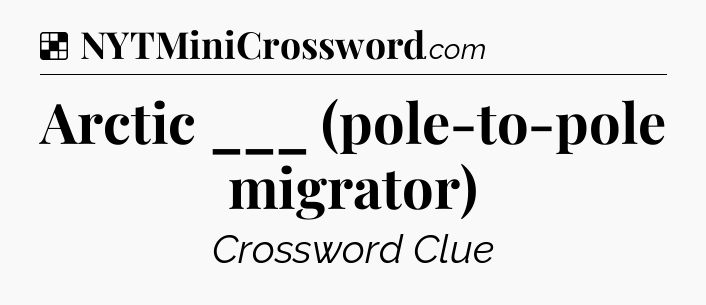 Solution: Arctic ___ (pole-to-pole migrator) - NYT Crossword