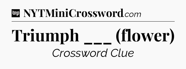 Triumph ___ (flower) Crossword Clue