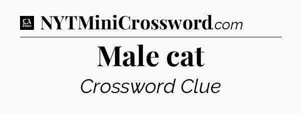 Male cat - LA Times Crossword