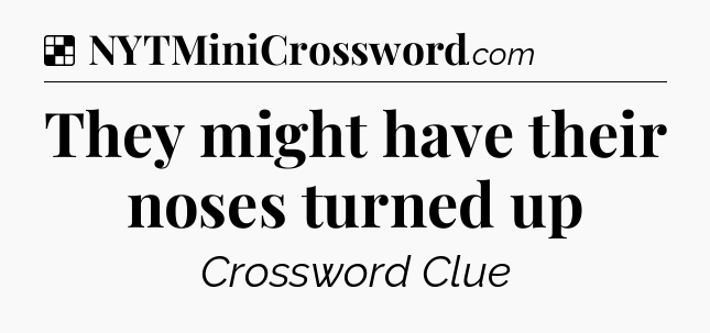 Solution: They might have their noses turned up - NYT Crossword