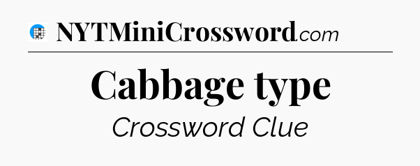 Cabbage type Crossword Clue