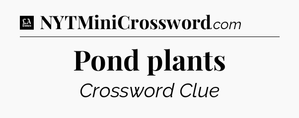 Pond plants - LA Times Crossword
