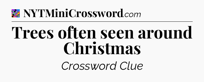 Trees often seen around Christmas Crossword Clue