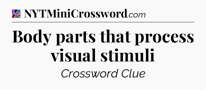 Body parts that process visual stimuli Crossword Clue