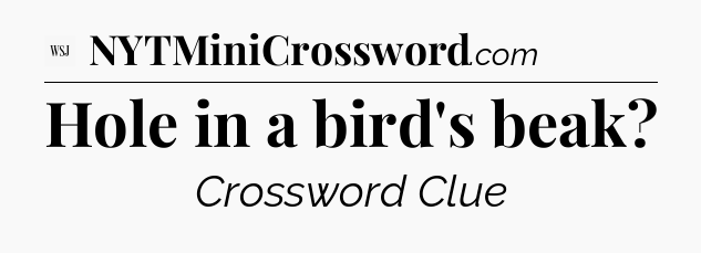 Hole in a bird's beak - WSJ Crossword