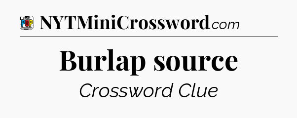 Burlap source Crossword Clue