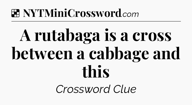 Solution: A rutabaga is a cross between a cabbage and this - NYT Crossword