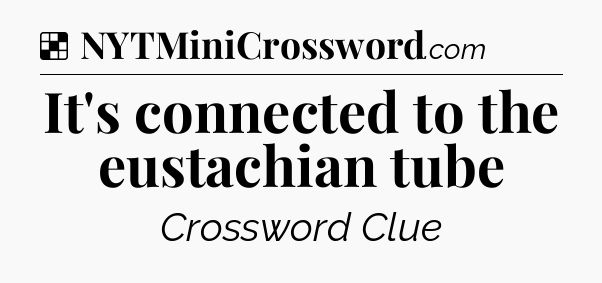 Solution: It's connected to the eustachian tube - NYT Crossword