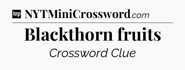 Blackthorn fruits Crossword Clue