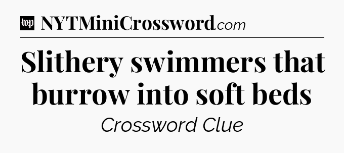 Slithery swimmers that burrow into soft beds Crossword Clue