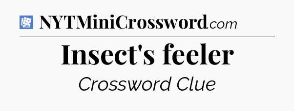 Insect's feeler Puzzle Page Crossword Clue
