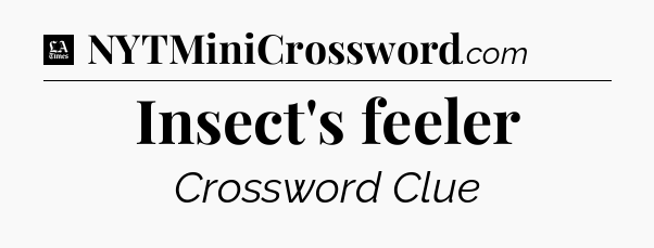 Insect's feeler - LA Times Crossword