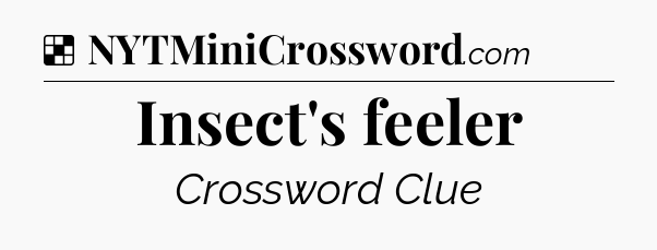 Solution: Insect's feeler - NYT Crossword