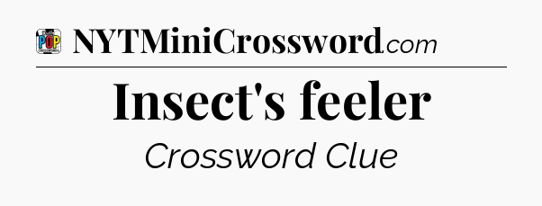Insect's feeler Crossword Clue
