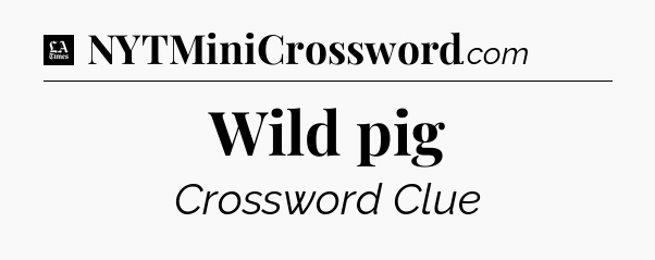 Wild pig - LA Times Crossword