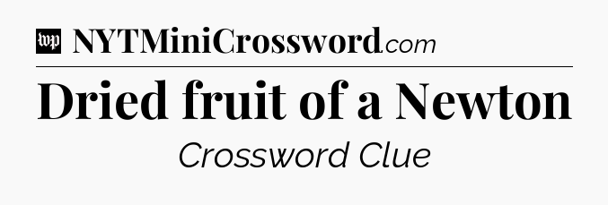 Dried fruit of a Newton Crossword Clue