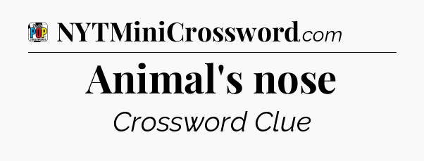 Animal's nose Crossword Clue
