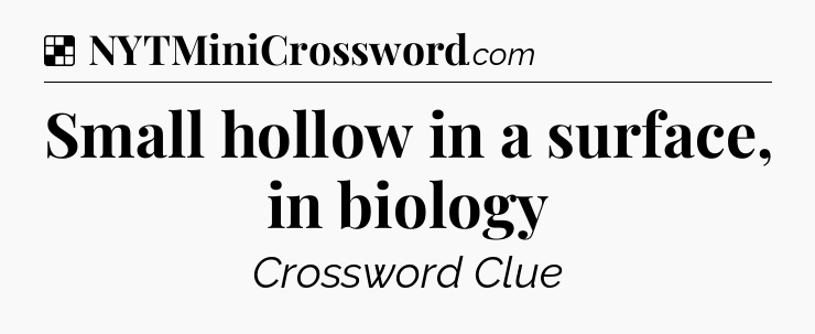 Solution: Small hollow in a surface, in biology - NYT Crossword