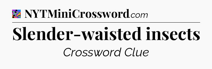 Slender-waisted insects Crossword Clue