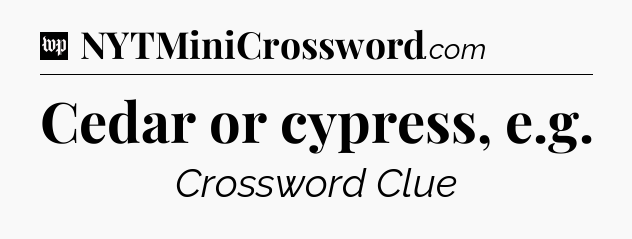Cedar or cypress, e.g Crossword Clue