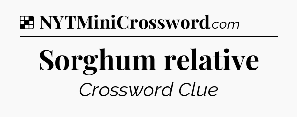 Solution: Sorghum relative - NYT Crossword