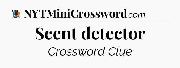 Scent detector Crossword Clue