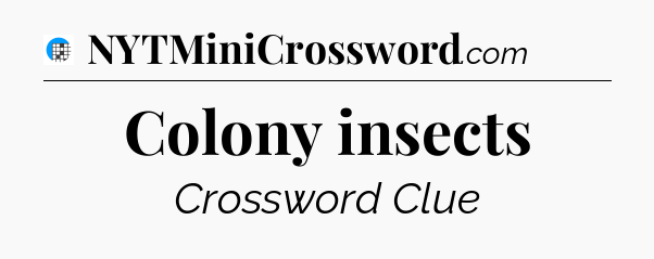 Colony insects Crossword Clue