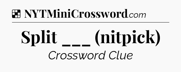 Solution: Split ___ (nitpick) - NYT Crossword