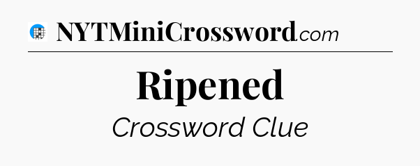 Ripened Crossword Clue
