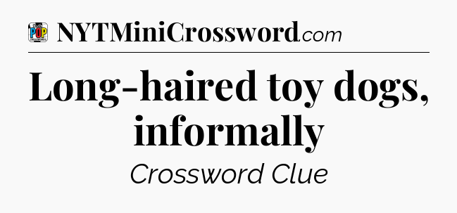 Long-haired toy dogs, informally Crossword Clue