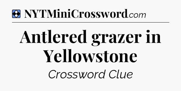 Solution: Antlered grazer in Yellowstone - NYT Mini Crossword