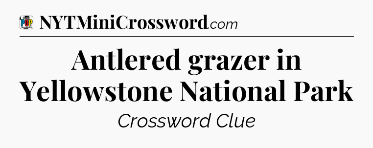 Antlered grazer in Yellowstone National Park Crossword Clue