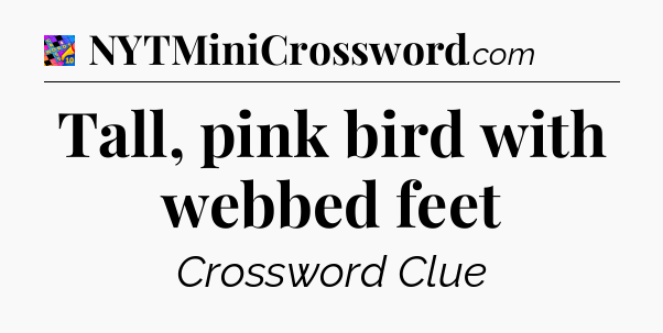 Tall, pink bird with webbed feet Crossword Clue
