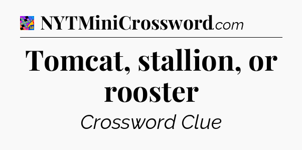 Tomcat, stallion, or rooster Crossword Clue