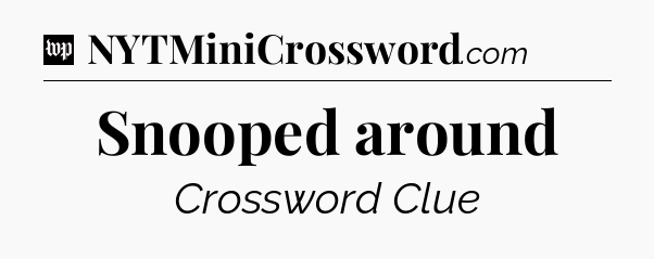 Snooped around Crossword Clue