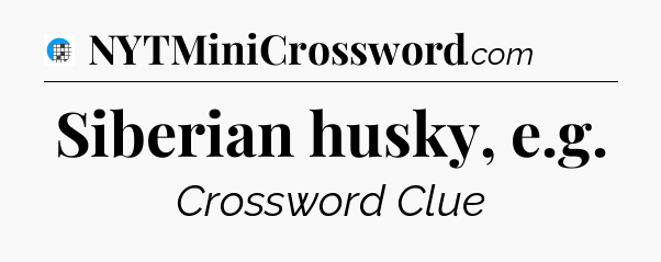 Siberian husky, e.g Crossword Clue