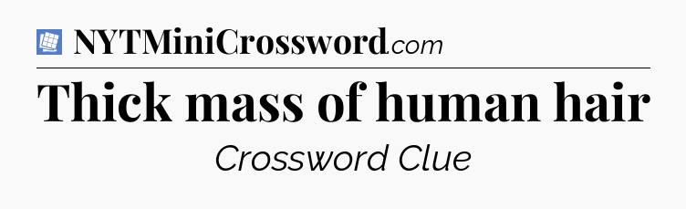 Thick mass of human hair Puzzle Page Crossword Clue