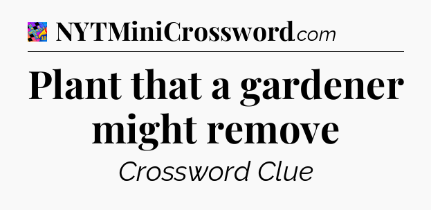 Plant that a gardener might remove Crossword Clue